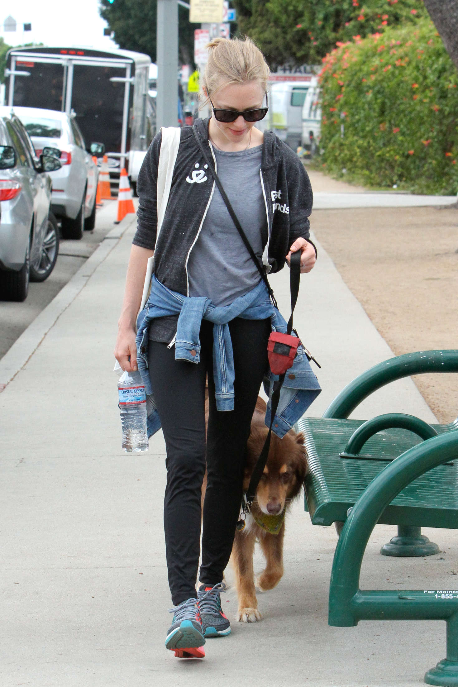 Amanda Seyfried takes Finn for a walk around in West Hollywood