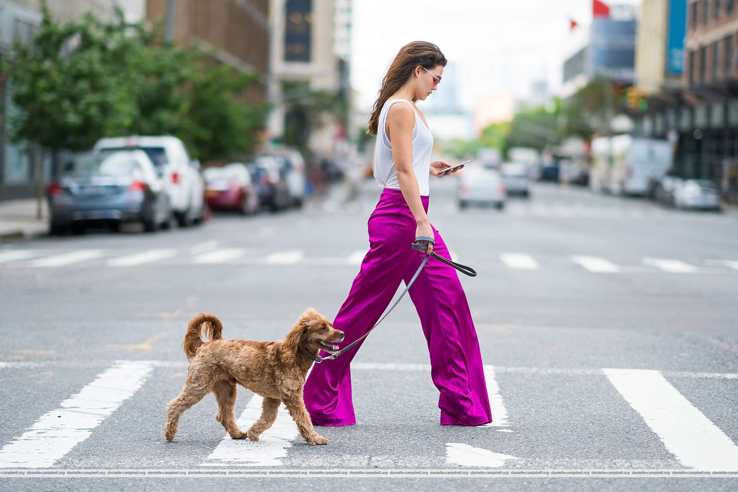 Danielle Campbell with her dog out in New York City