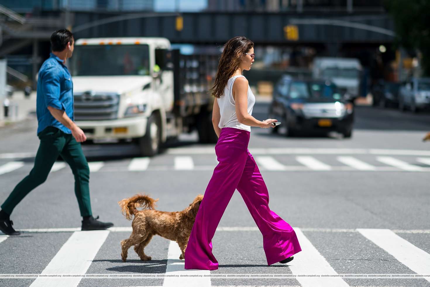 Danielle Campbell with her dog out in New York City