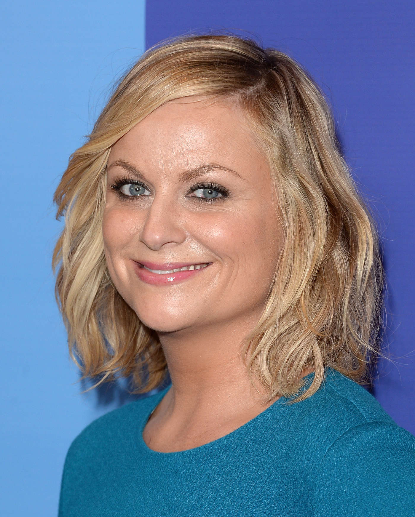 Amy Poehler Fake