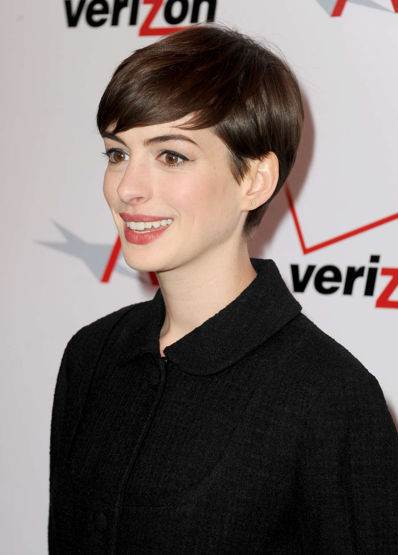 Anne Hathaway – 2013 AFI Awards in Beverly Hills – GotCeleb