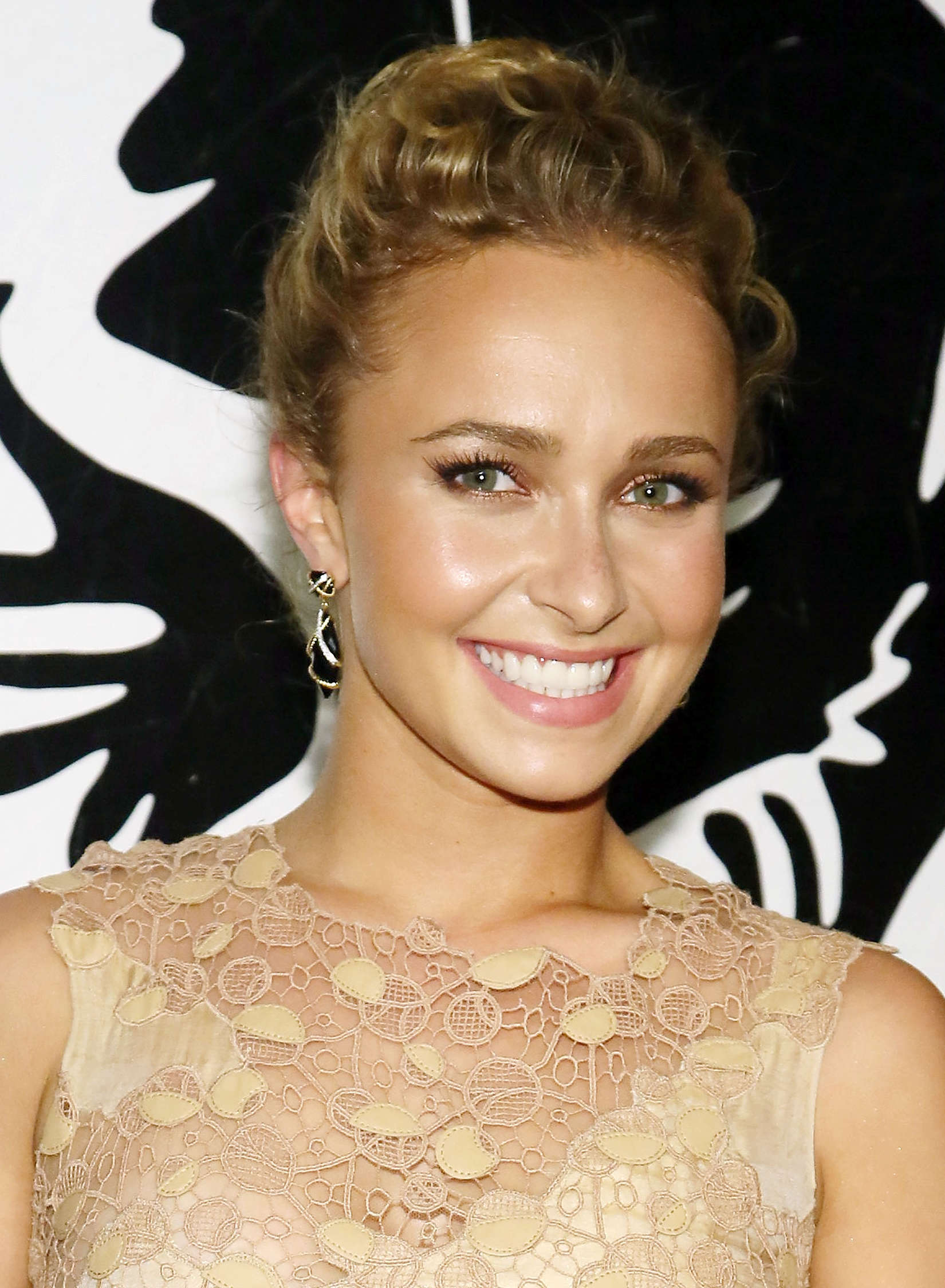 Hayden Panettiere Fake