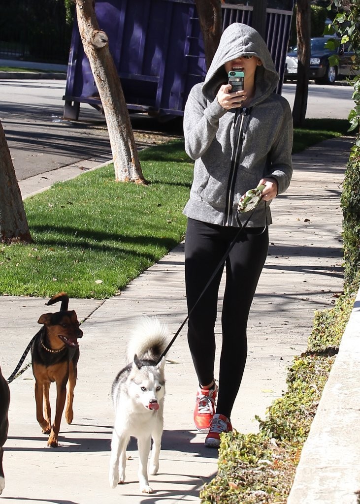 Miley Cyrus 2013 : Miley Cyrus Walks The Dogs in Toluca Lake-09