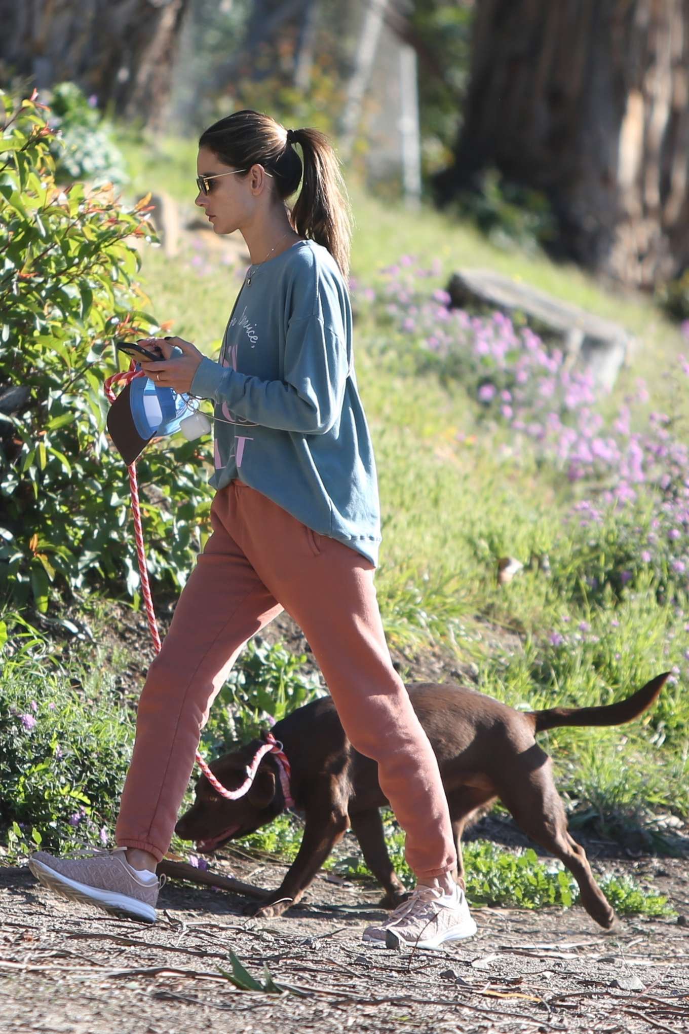 Alessandra Ambrosio - Hike with her cute dog in Los Angeles-20 | GotCeleb