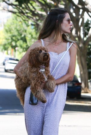 Alessandra Ambrosio - With her dog out in West Hollywood
