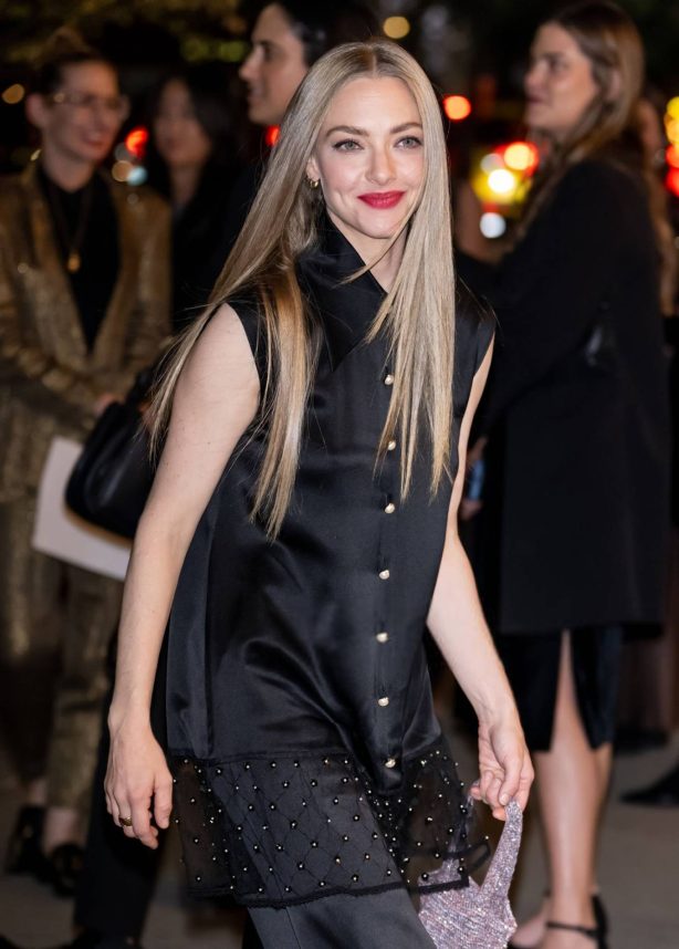 Amanda Seyfried - Museum Of Modern Art's 16th Annual Film Benefit - New York City