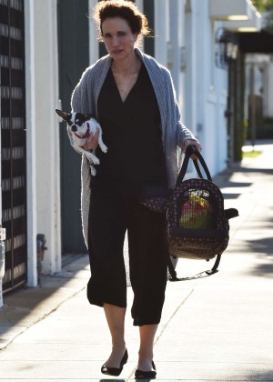 Andie MacDowell With Her Dog out in West Hollywood