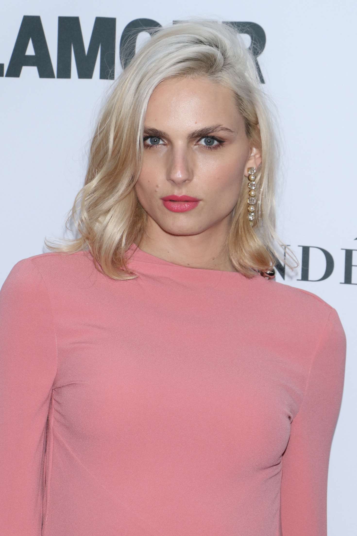 Andreja Pejic: 2017 Glamour Women of The Year Awards -06 | GotCeleb