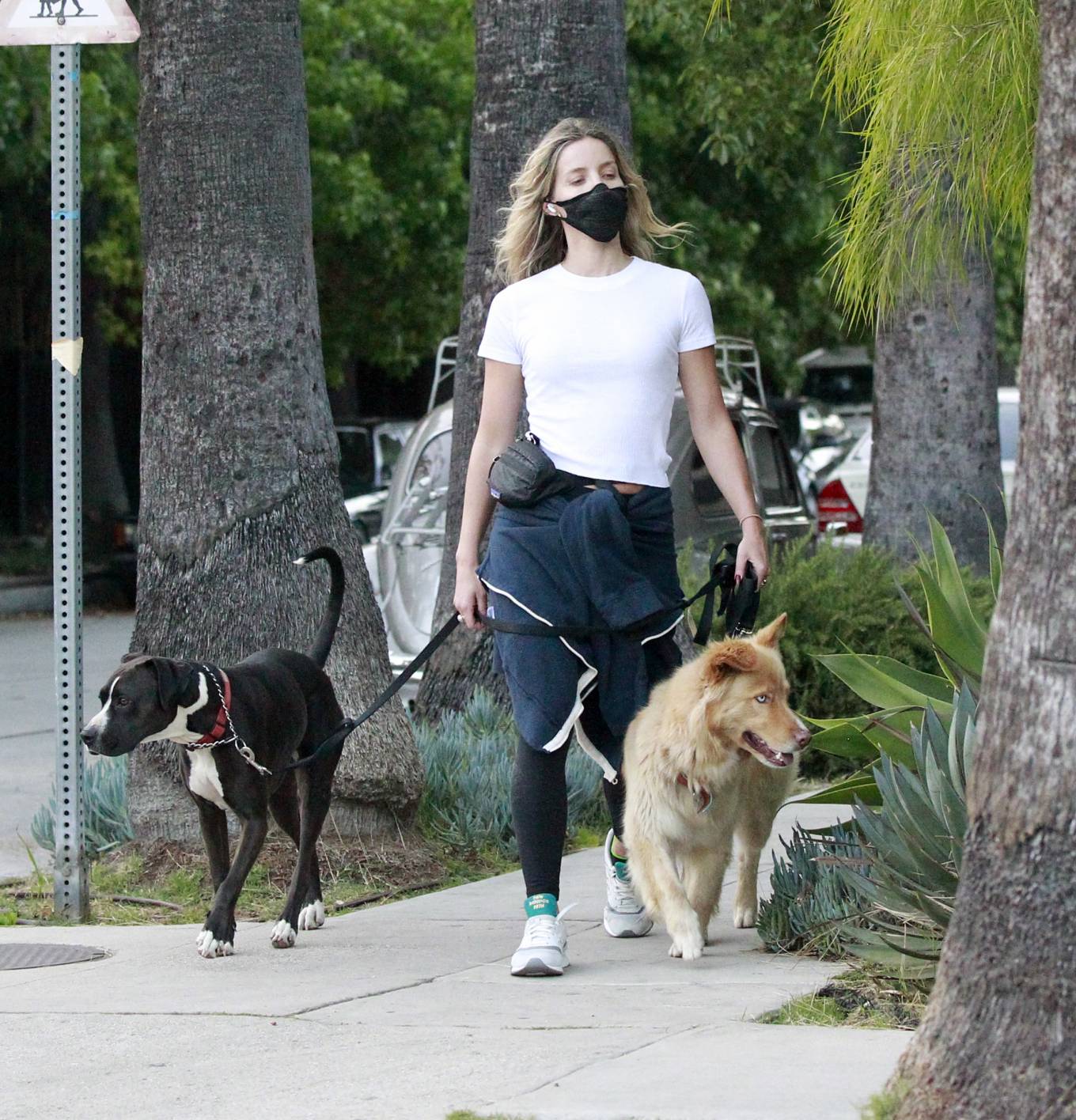 Annabelle Wallis â€“ Jogging with her dogs in Los Angeles