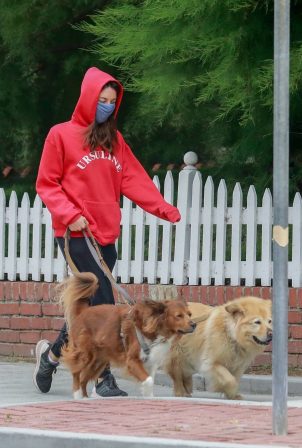 Aubrey Plaza - Dons red hoodie while out walking her dogs in Los Feliz