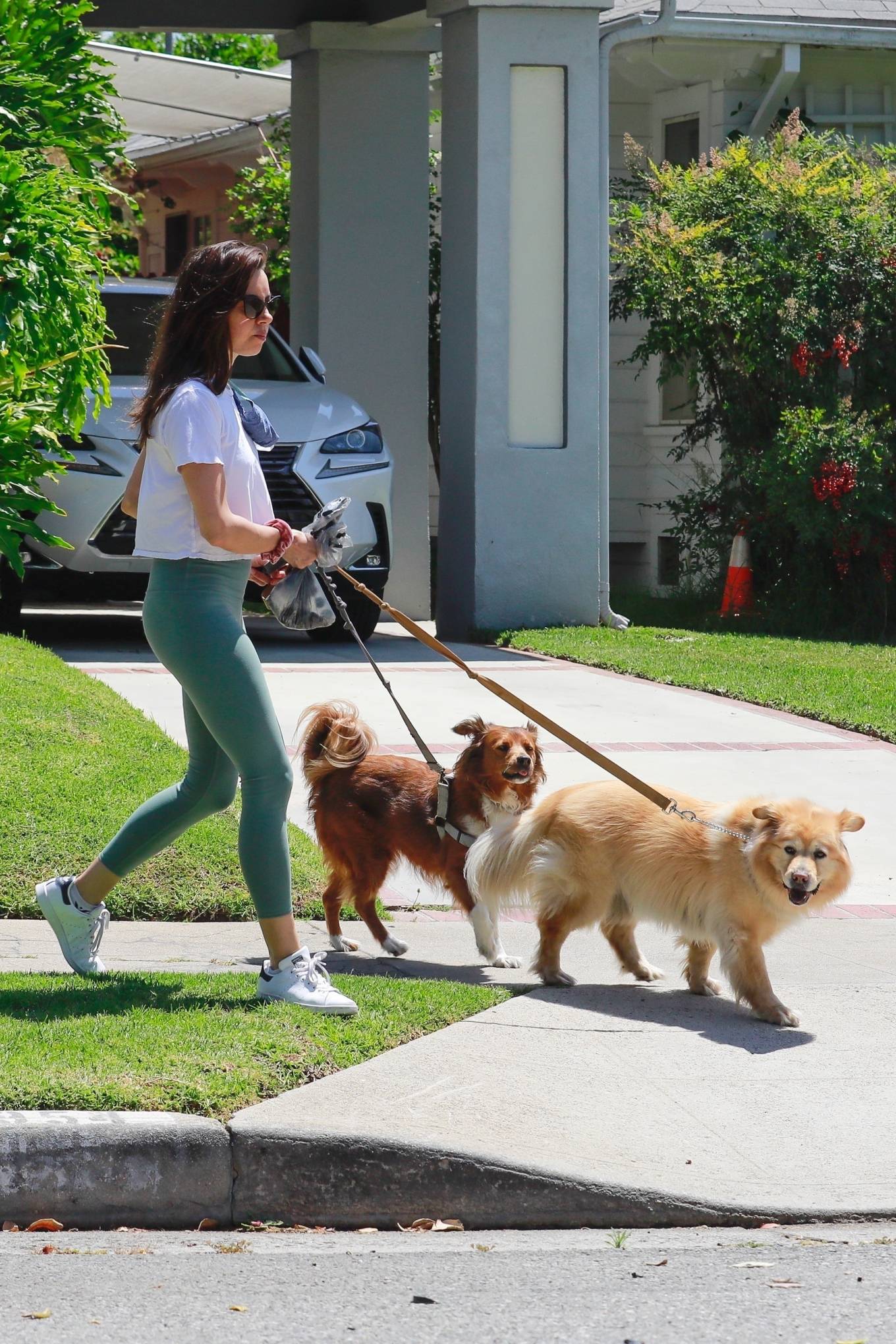 Aubrey Plaza in Green Tights â€“ Walking her dogs in Los Feliz