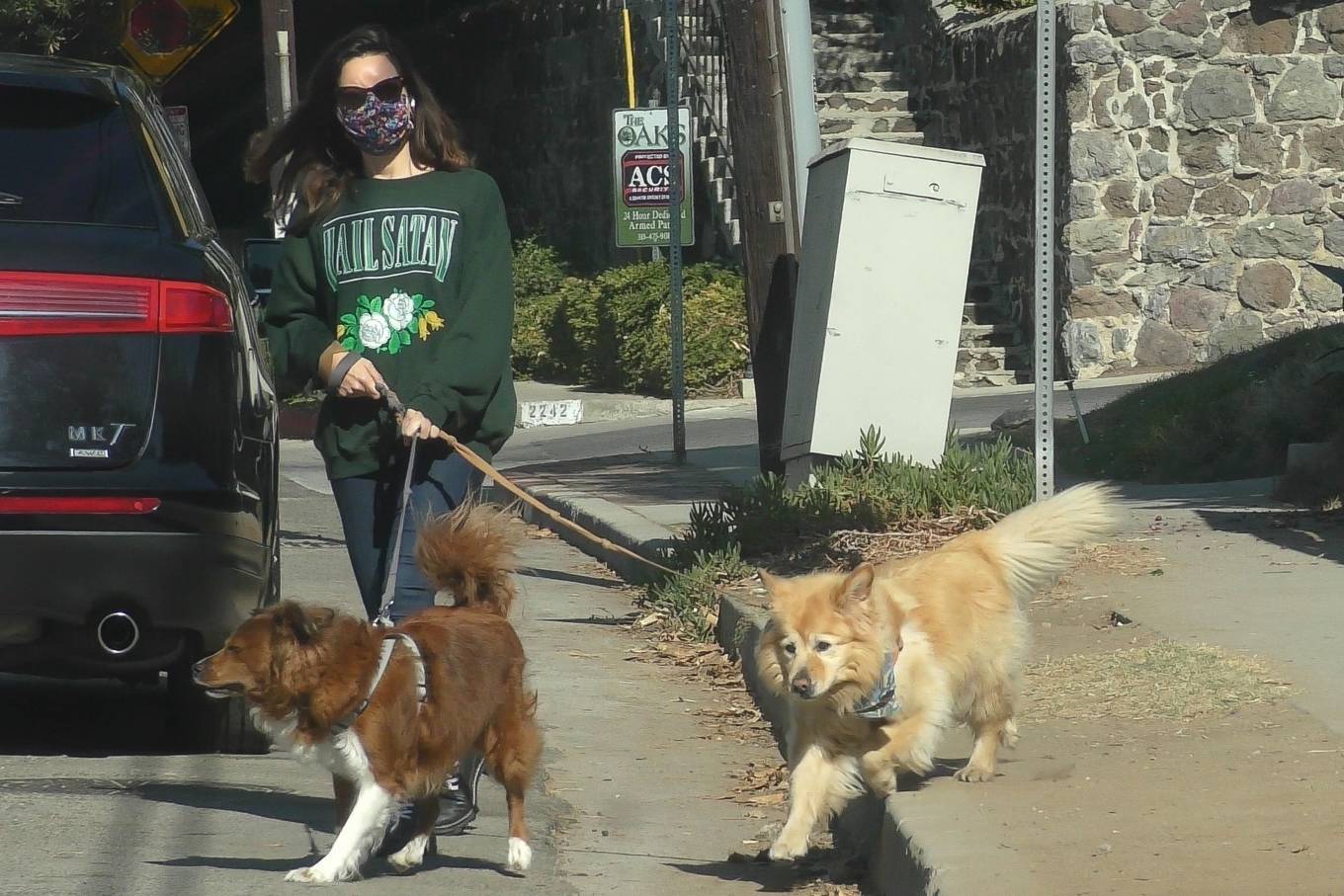 Aubrey Plaza – Out with her dogs in Los Angeles