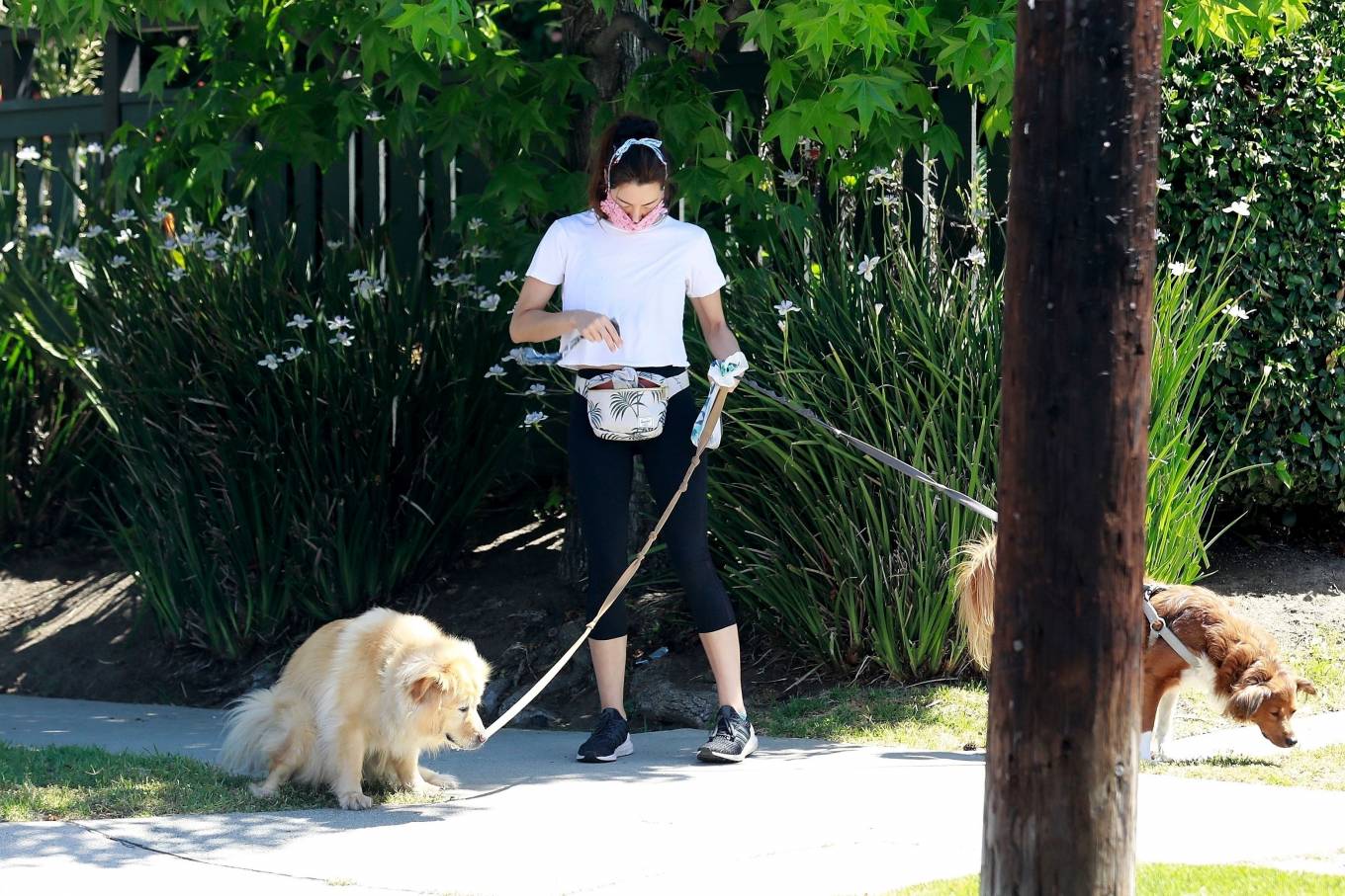 Aubrey Plaza â€“ Takes her dogs for a quick walk in Los Angeles