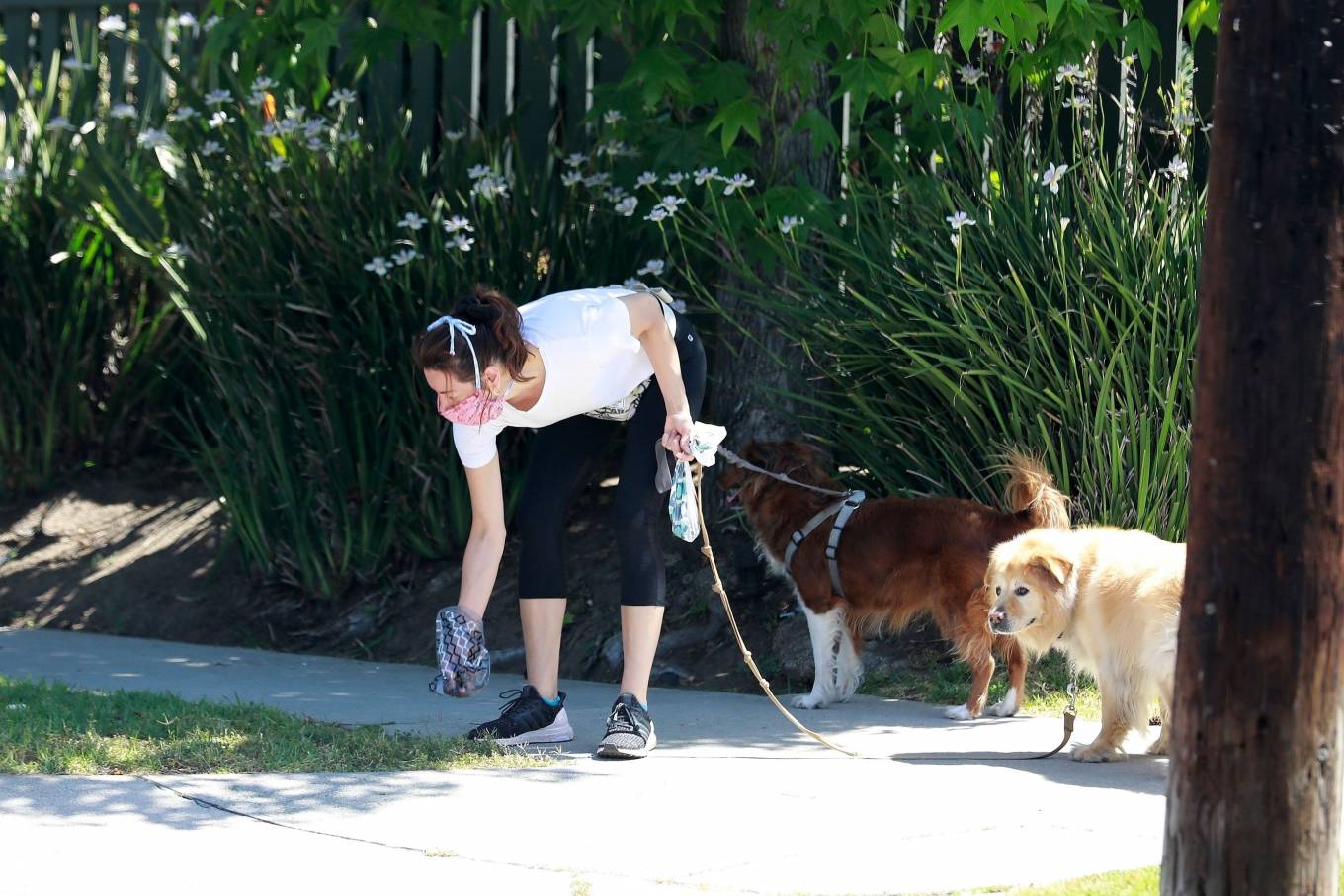 Aubrey Plaza â€“ Takes her dogs for a quick walk in Los Angeles