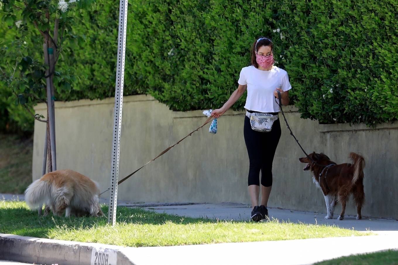 Aubrey Plaza â€“ Takes her dogs for a quick walk in Los Angeles