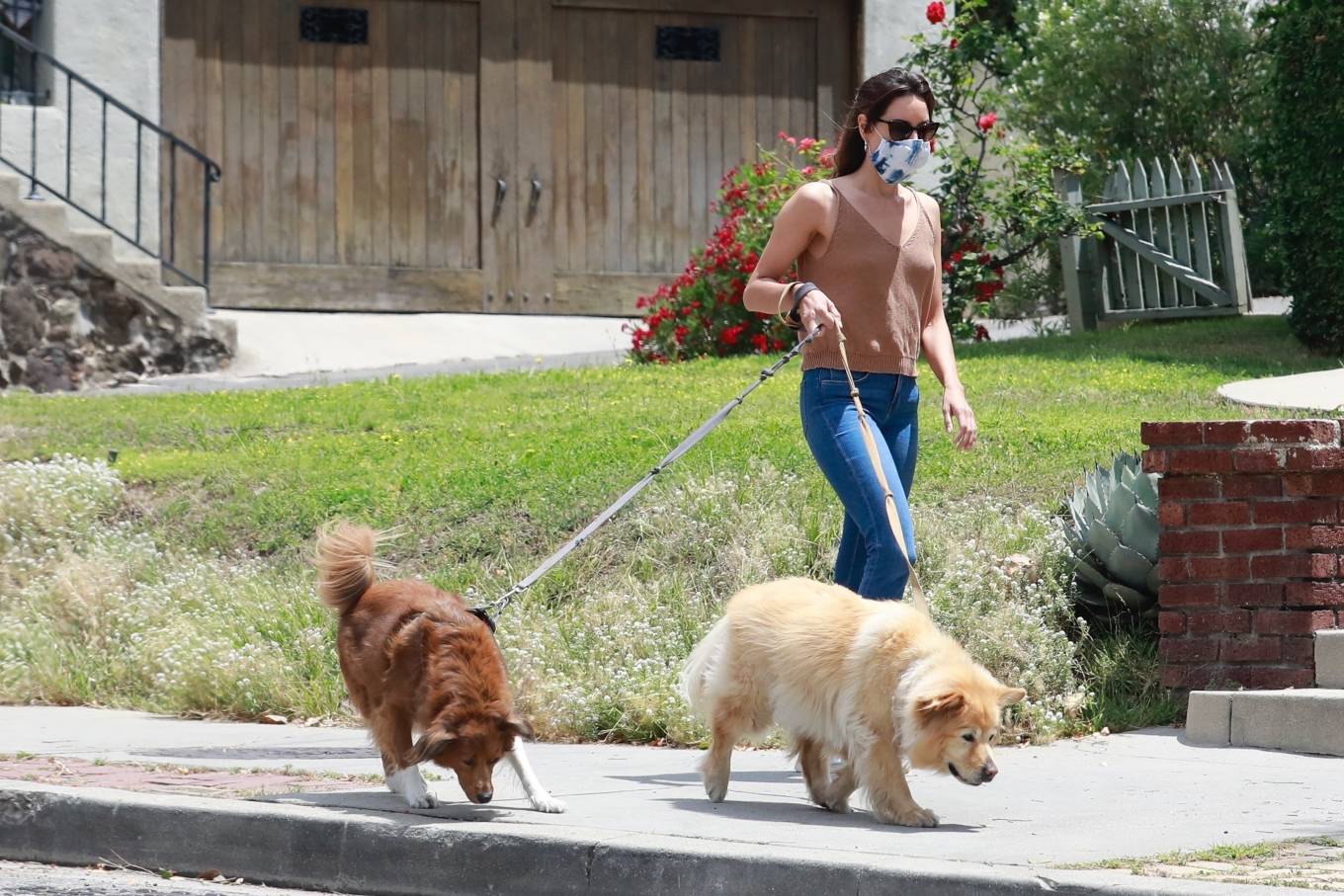 Aubrey Plaza â€“ Takes her dogs for a walk in Los Feliz