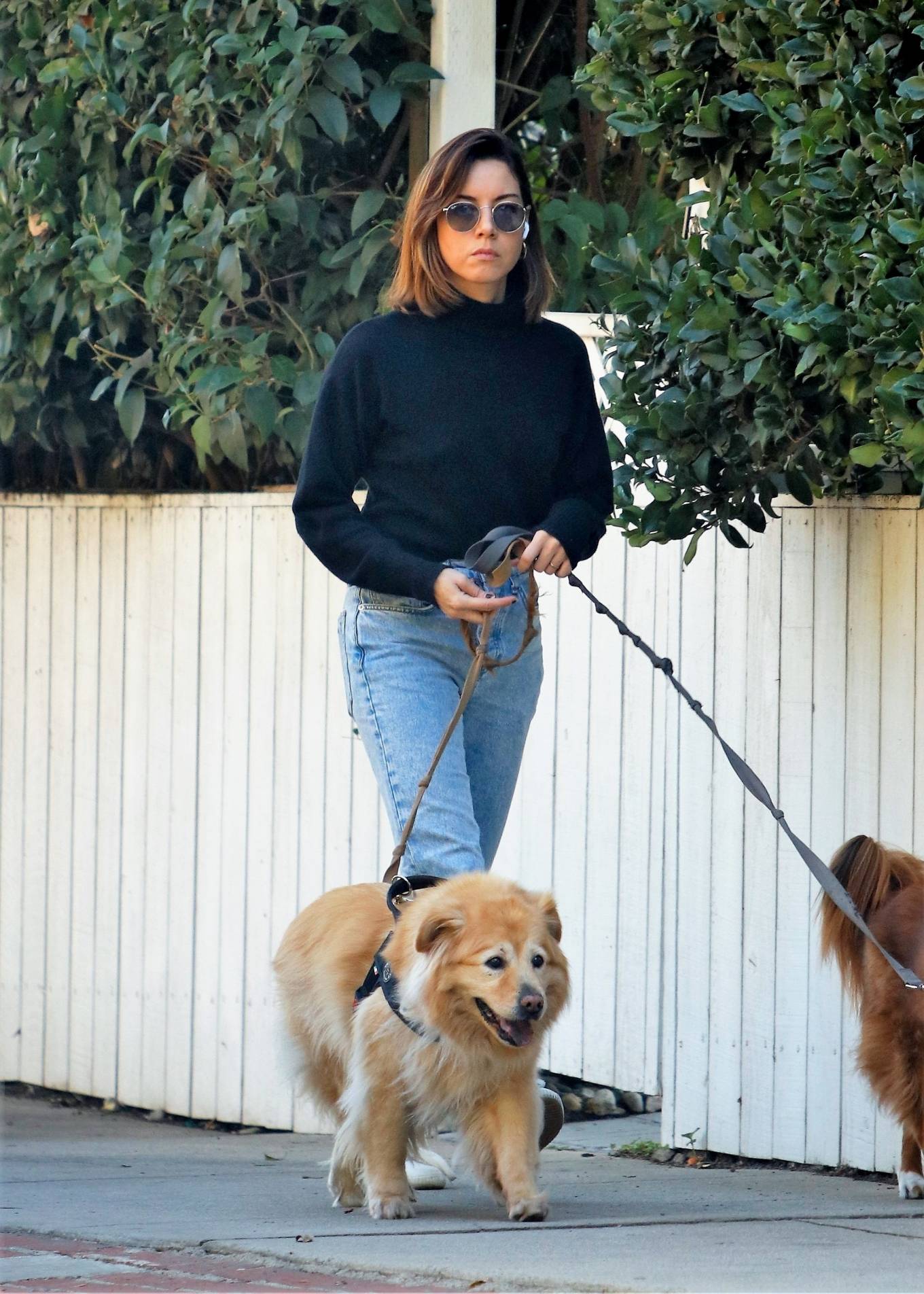 Aubrey Plaza - Walk near her home in LA-17 | GotCeleb