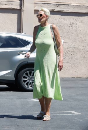 Brigitte Nielsen - Seen while running errands in Los Angeles