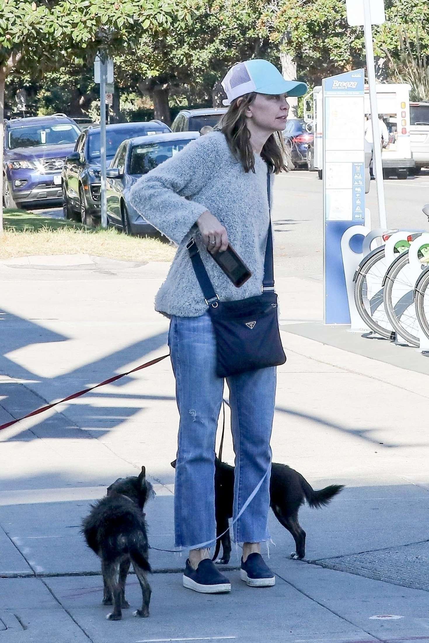 Calista Flockhart with her dogs off at a pet boutique in Brentwood ...