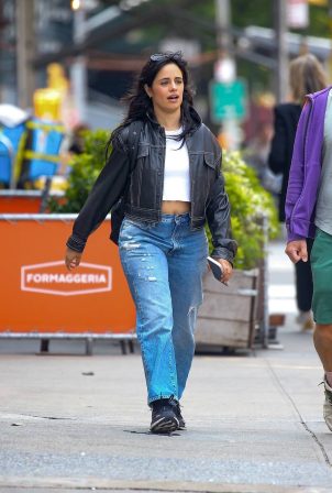 Camila Cabello - Out for a a walk with a friend in New York