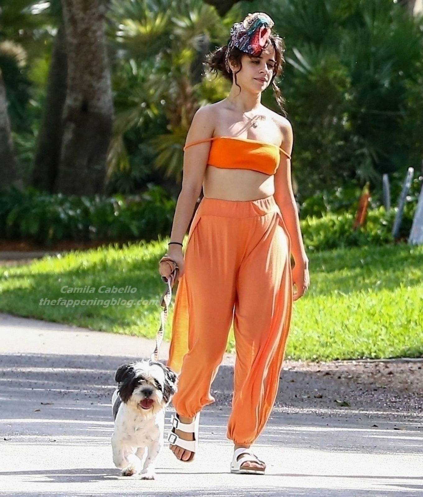 Camila Cabello – Seen while she out for a walk with her dogs in Miami