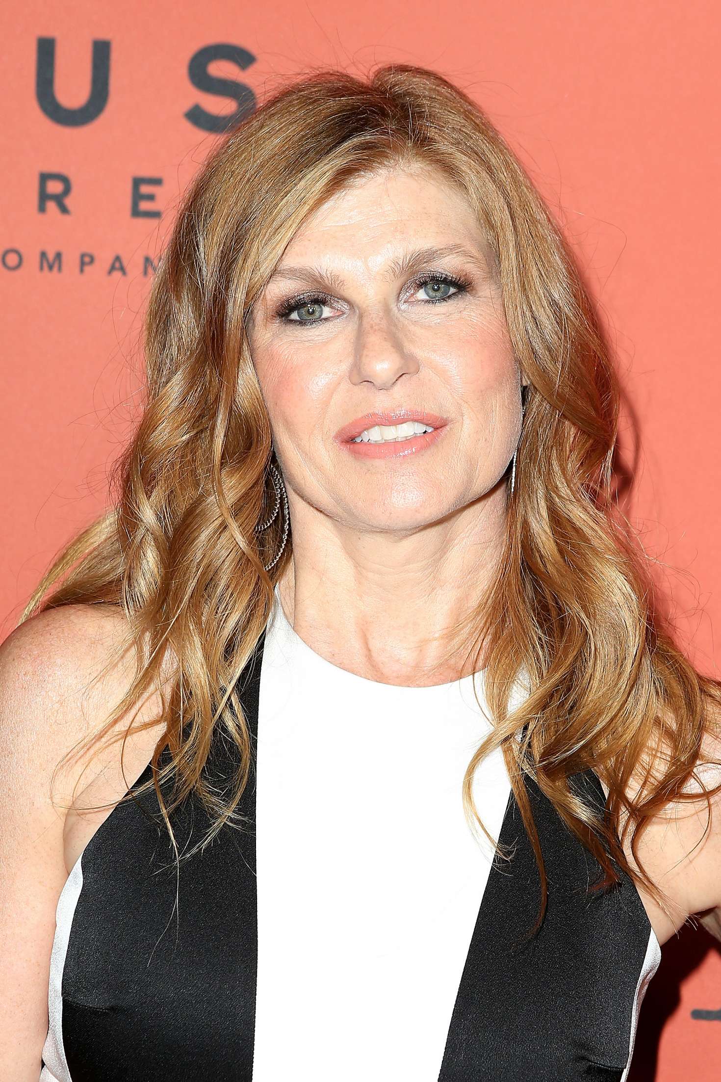 Connie Britton Fakes