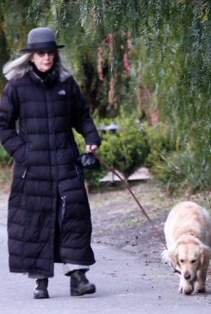 Diane Keaton - Takes her puppy Reggie out for a stroll in Brentwood