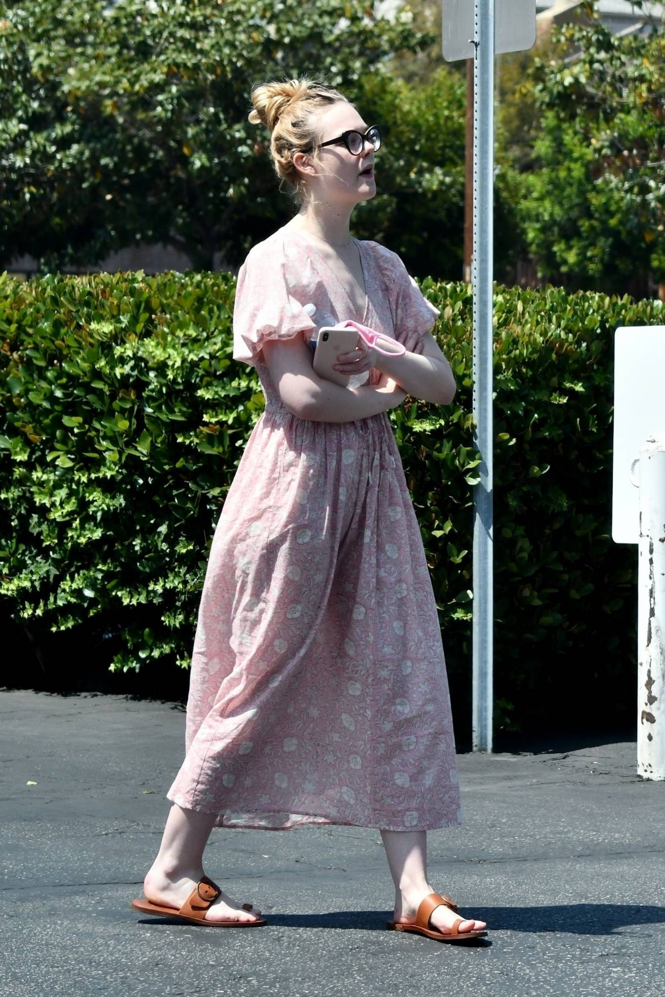 Elle Fanning and Dakota taking their dog to the Veterinary