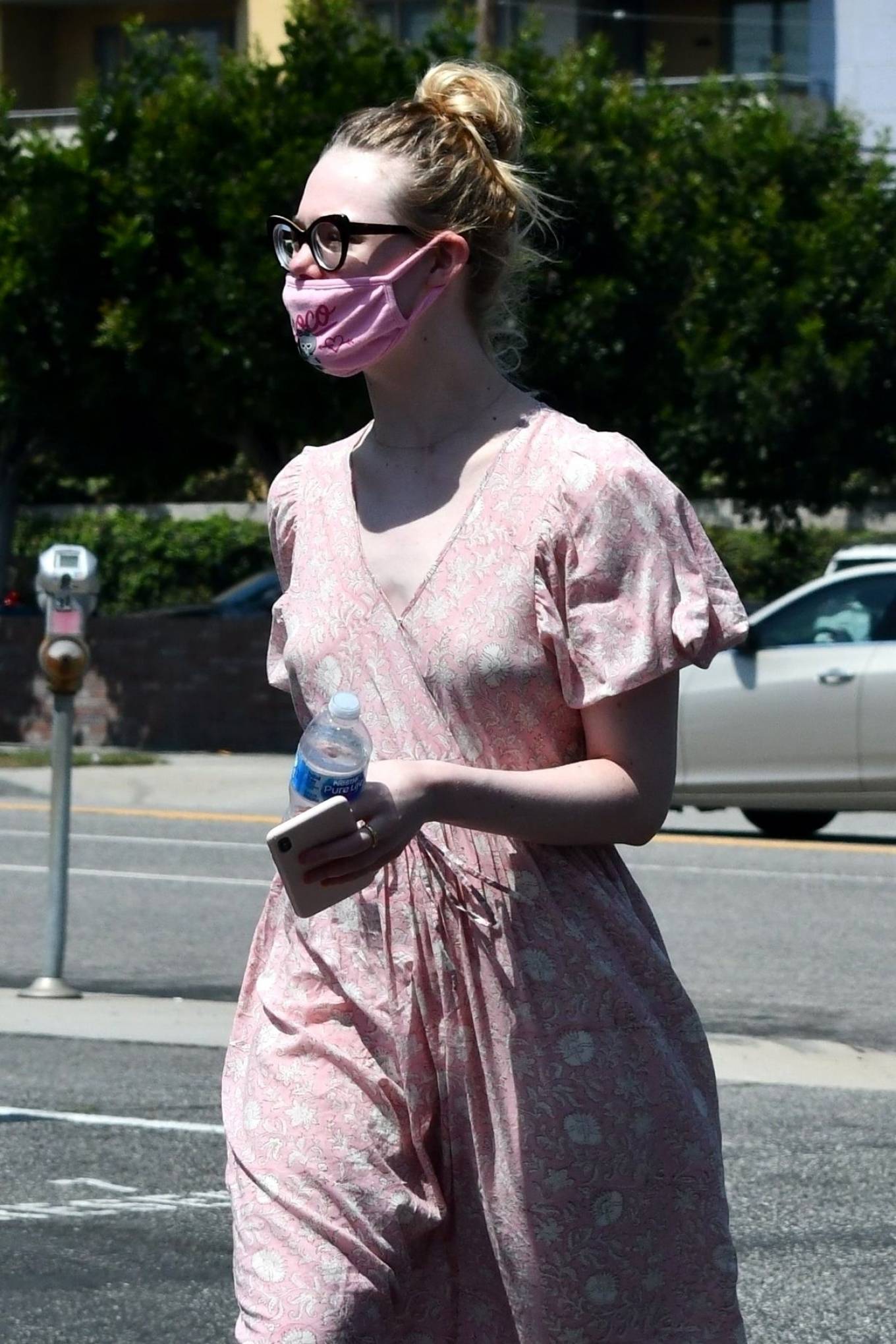 Elle Fanning and Dakota taking their dog to the Veterinary