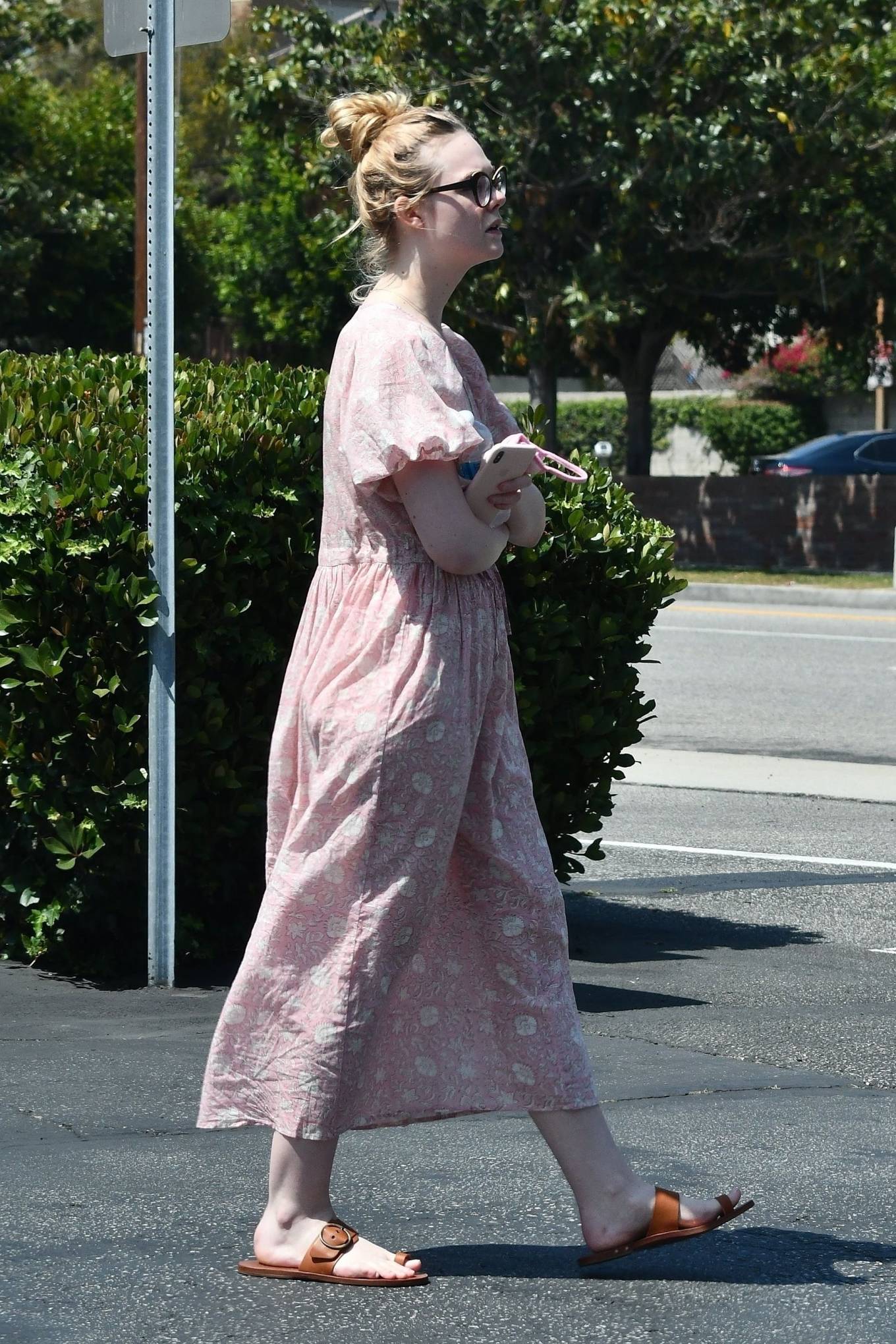 Elle Fanning and Dakota taking their dog to the Veterinary