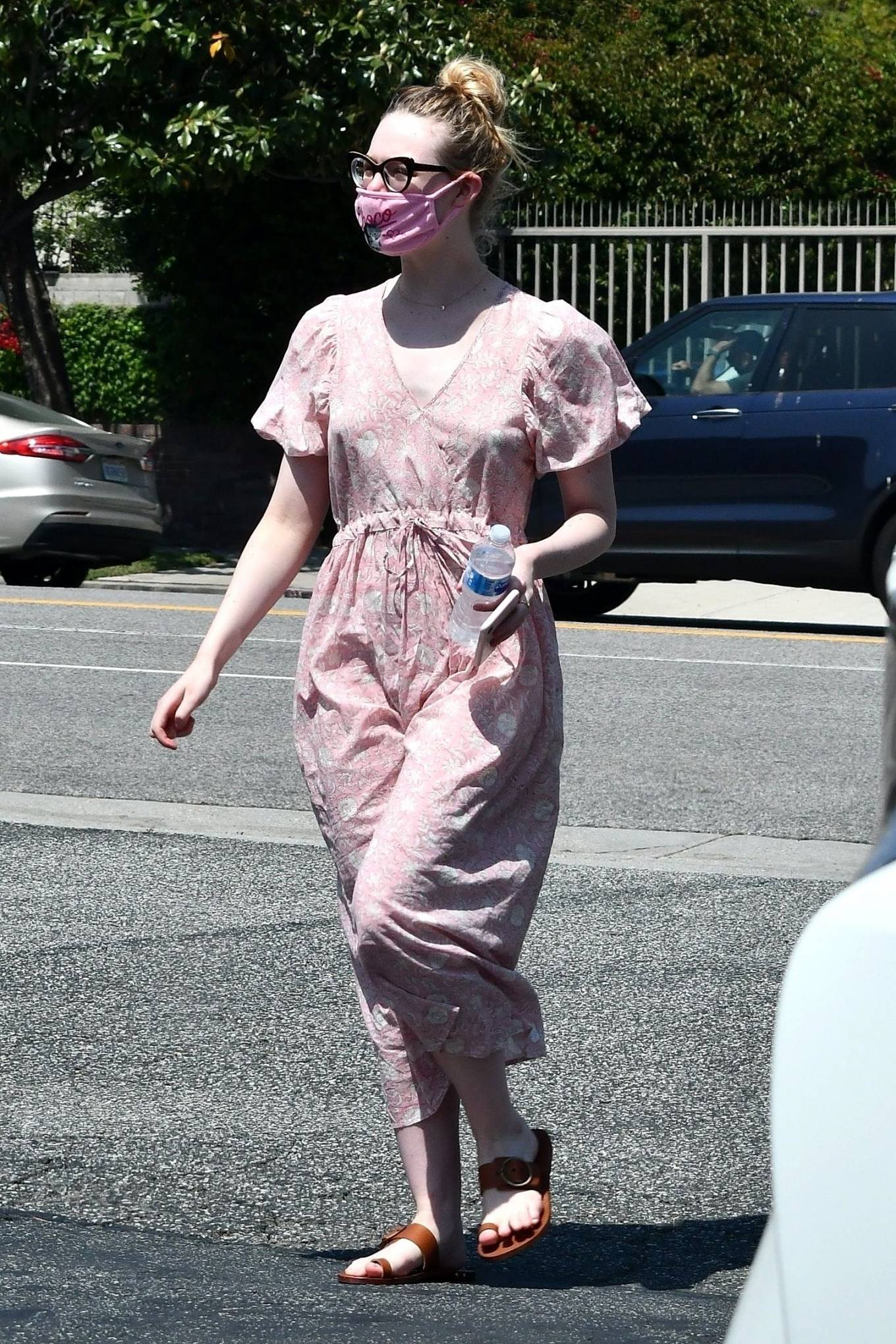 Elle Fanning and Dakota taking their dog to the Veterinary