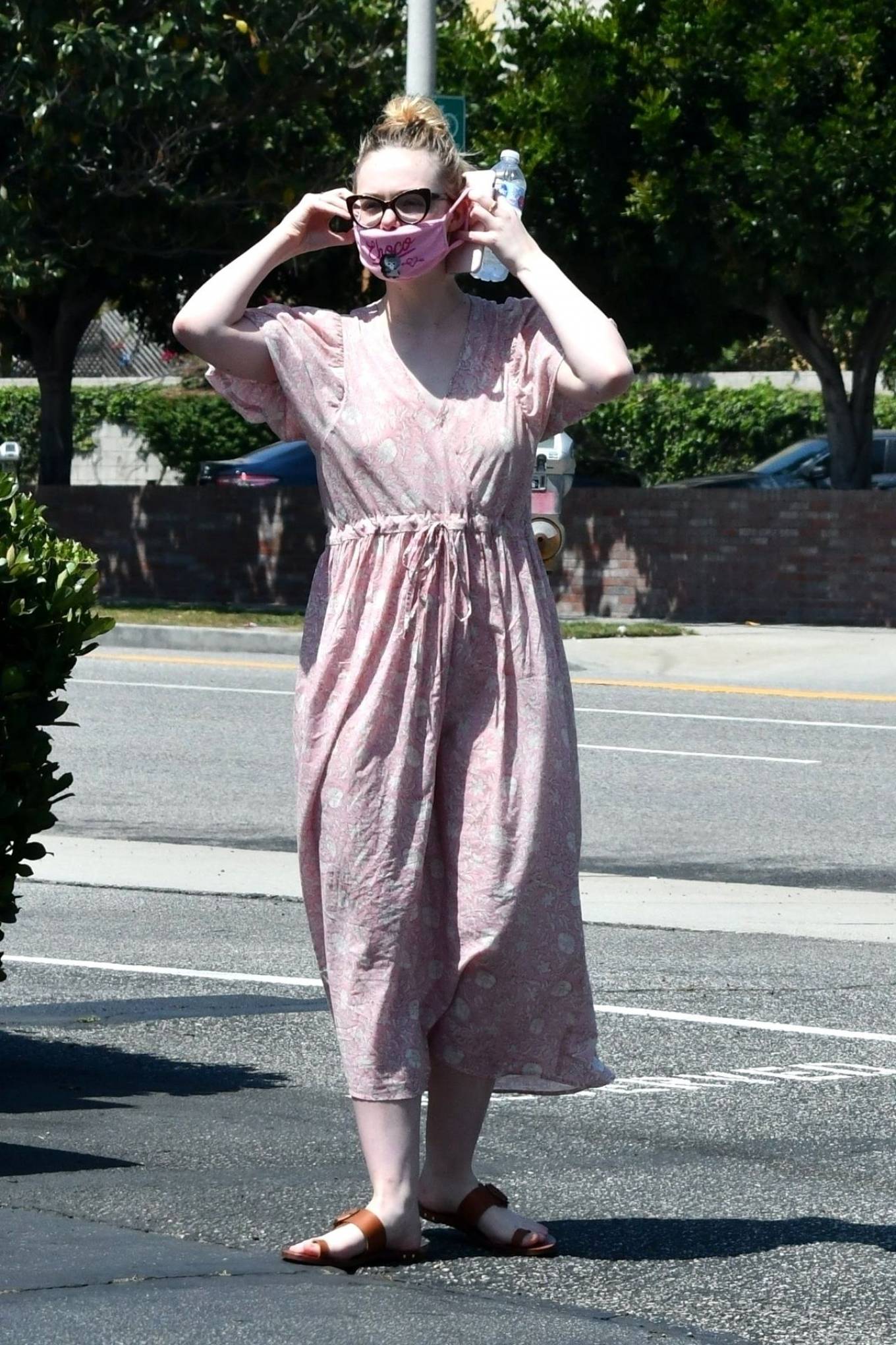 Elle Fanning and Dakota taking their dog to the Veterinary