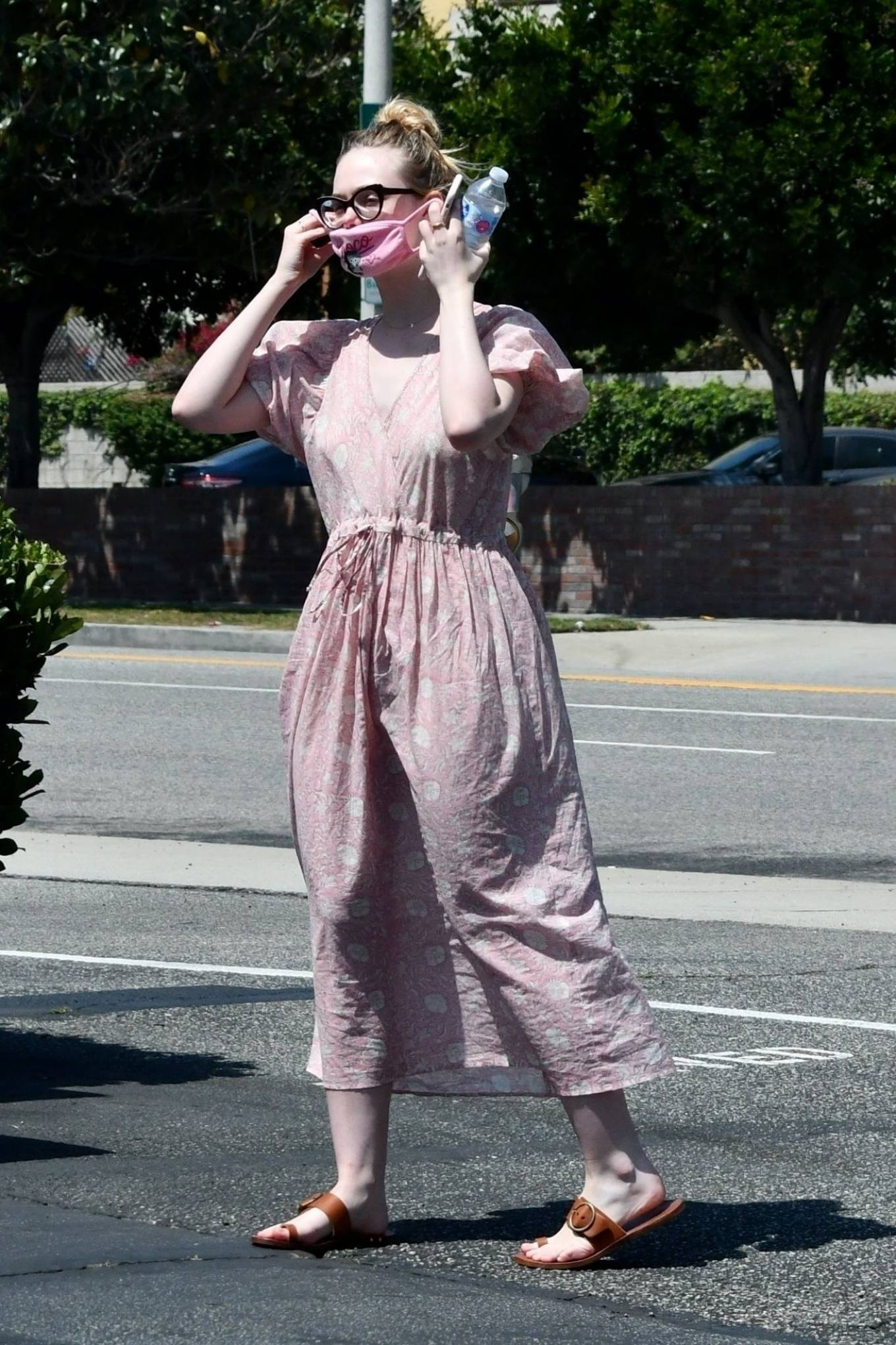 Elle Fanning and Dakota taking their dog to the Veterinary