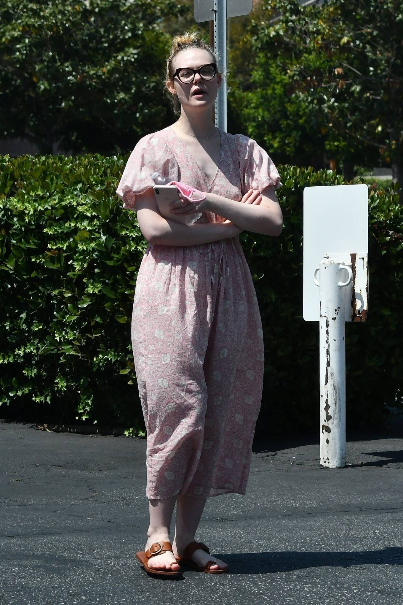 Elle Fanning and Dakota taking their dog to the Veterinary