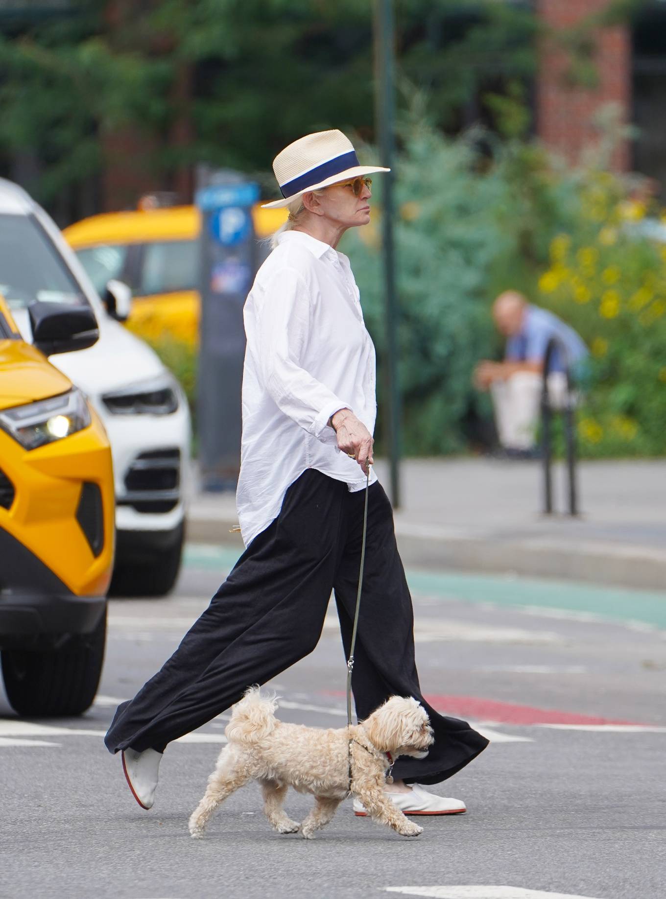 Ellen Barkin 2023 : Ellen Barkin – Seen taking her dog on a walk in New York-01