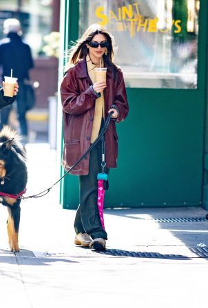 Emily Ratajkowski - Seen while out walking her dog Colombo in New York