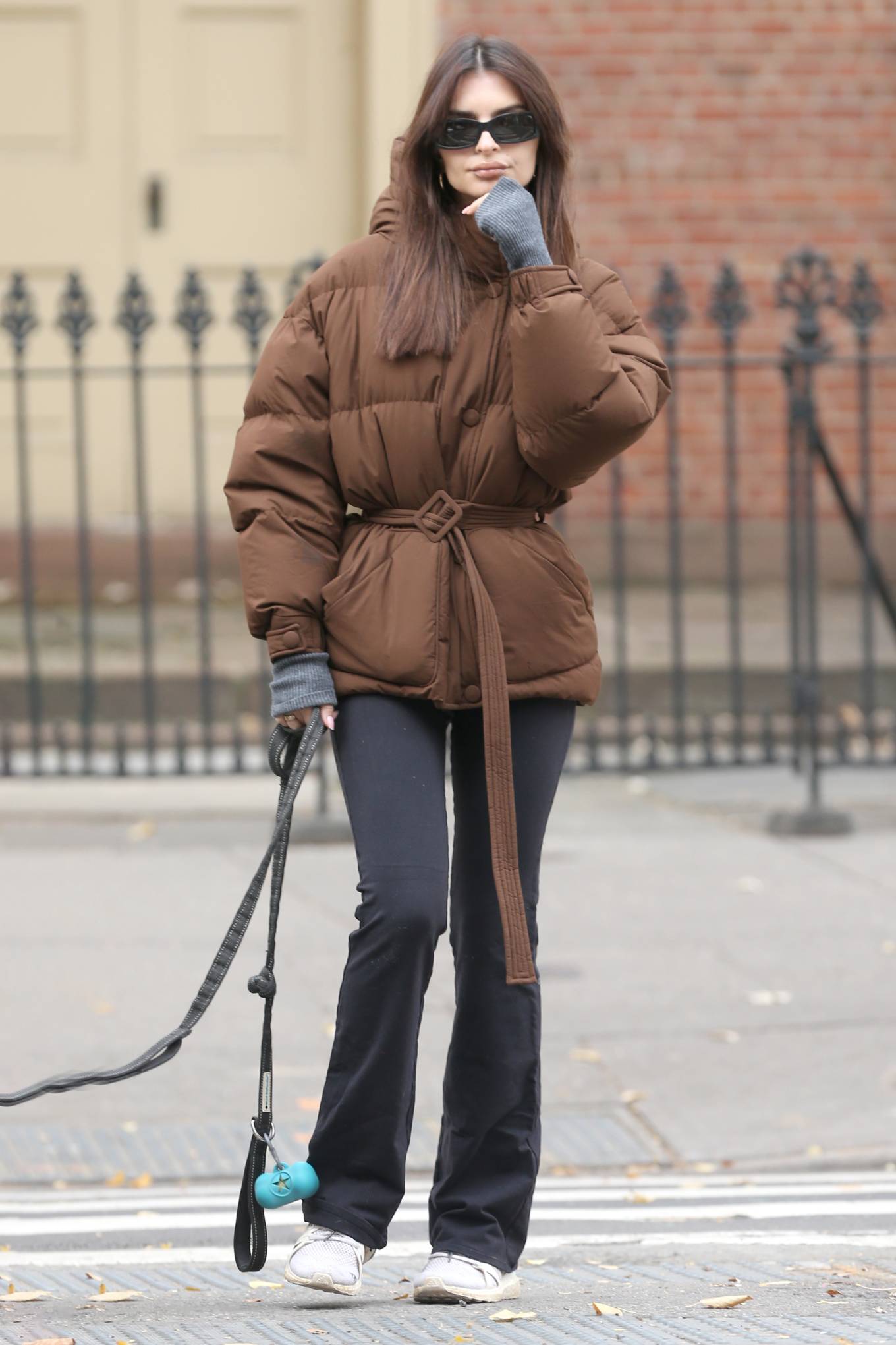 Emily Ratajkowski 2023 : Emily Ratajkowski – Seen with her dog Colombo on a walk in New York City-03