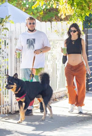 Emily Ratajkowski take a stroll with houseband in Los Angeles