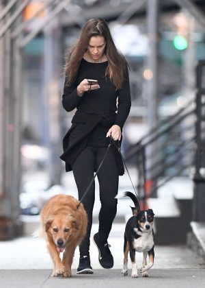 Hilary Swank with her dogs out in New York City