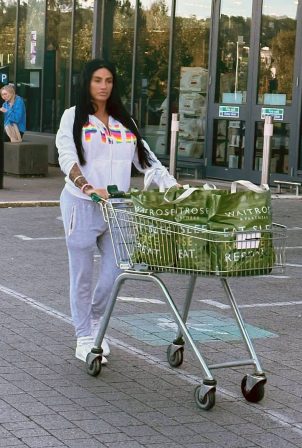 Katie Price - Shopping for groceries in London