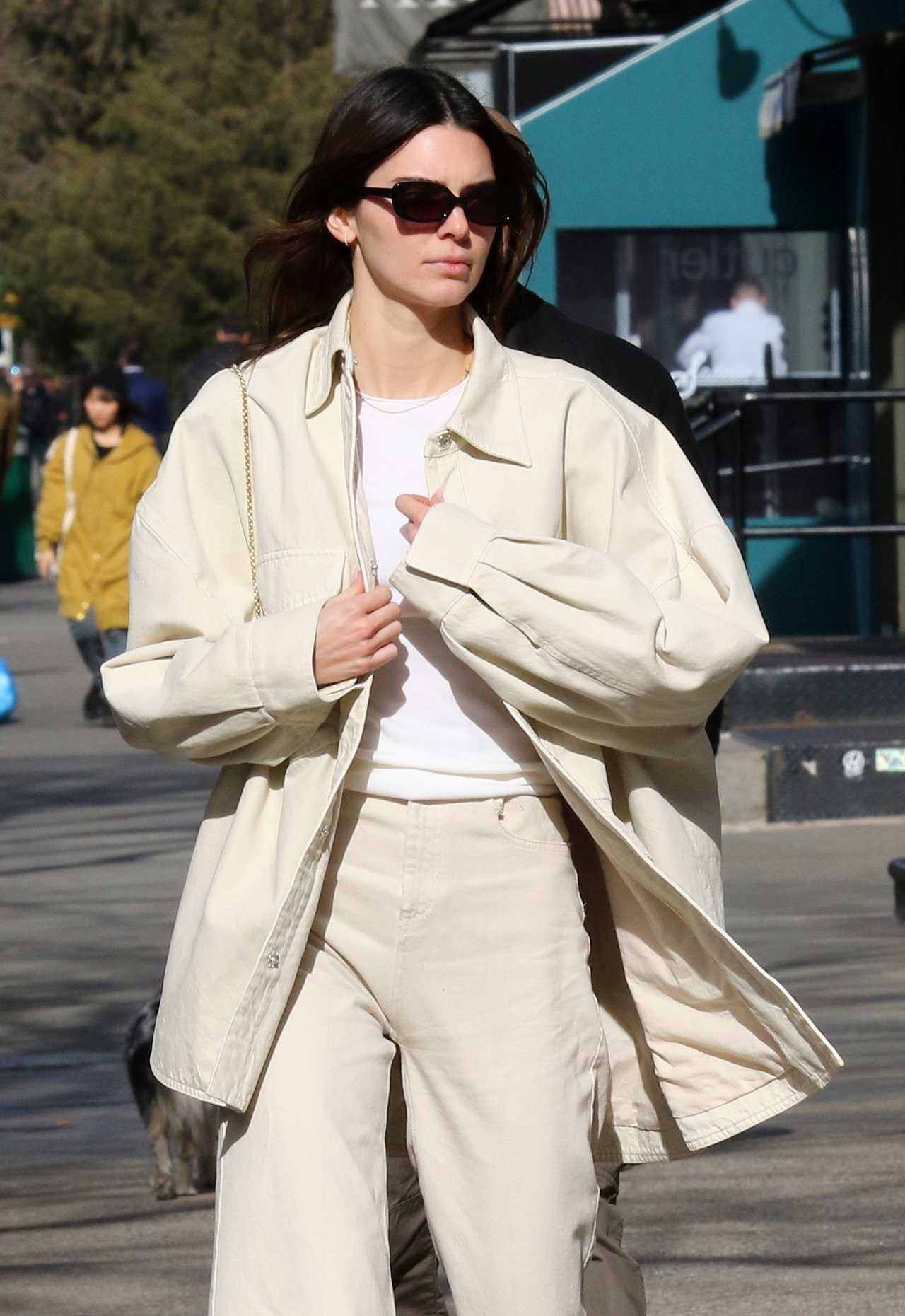Kendall Jenner - Goes for a walk with friends after lunch in New York ...