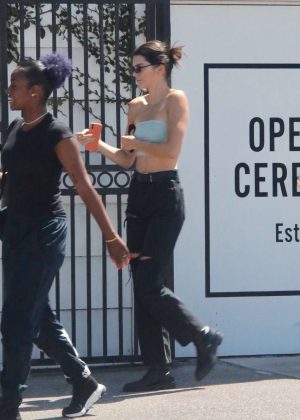 Kendall Jenner - Shopping in West Hollywood