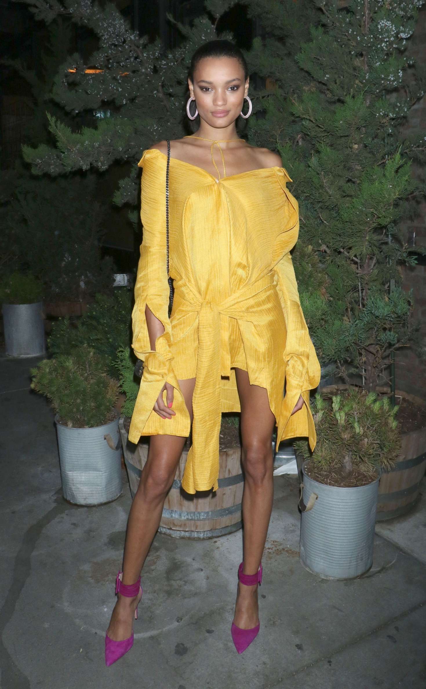 Lameka Fox: 2018 amfAR GenCure Solstice -02 | GotCeleb