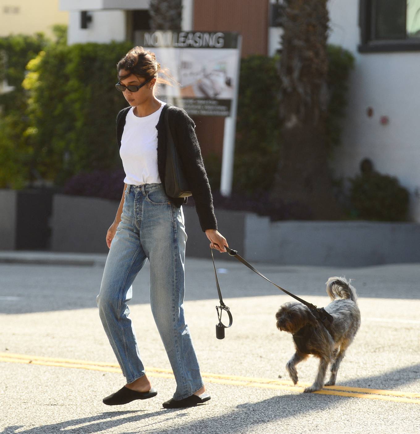 Laura Harrier 2024 : Laura Harrier – Seen during an outing with her dog in West Hollywood-17
