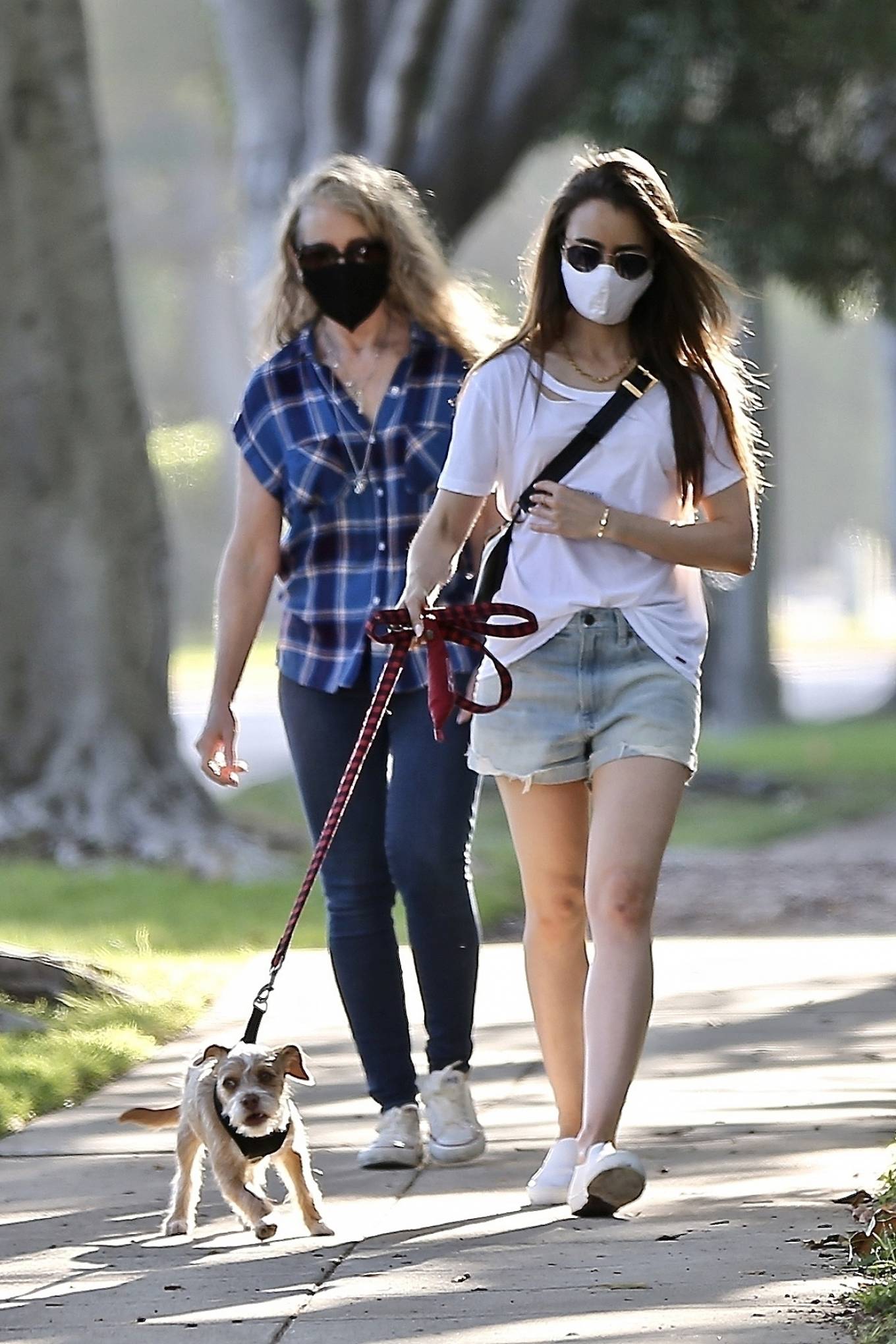 Lily Collins - Taking her beloved dog Redford for a walk in Beverly ...