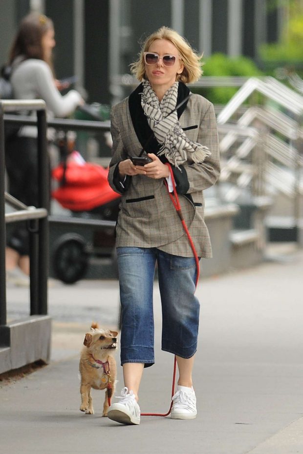 Naomi Watts with her dog out in New York City