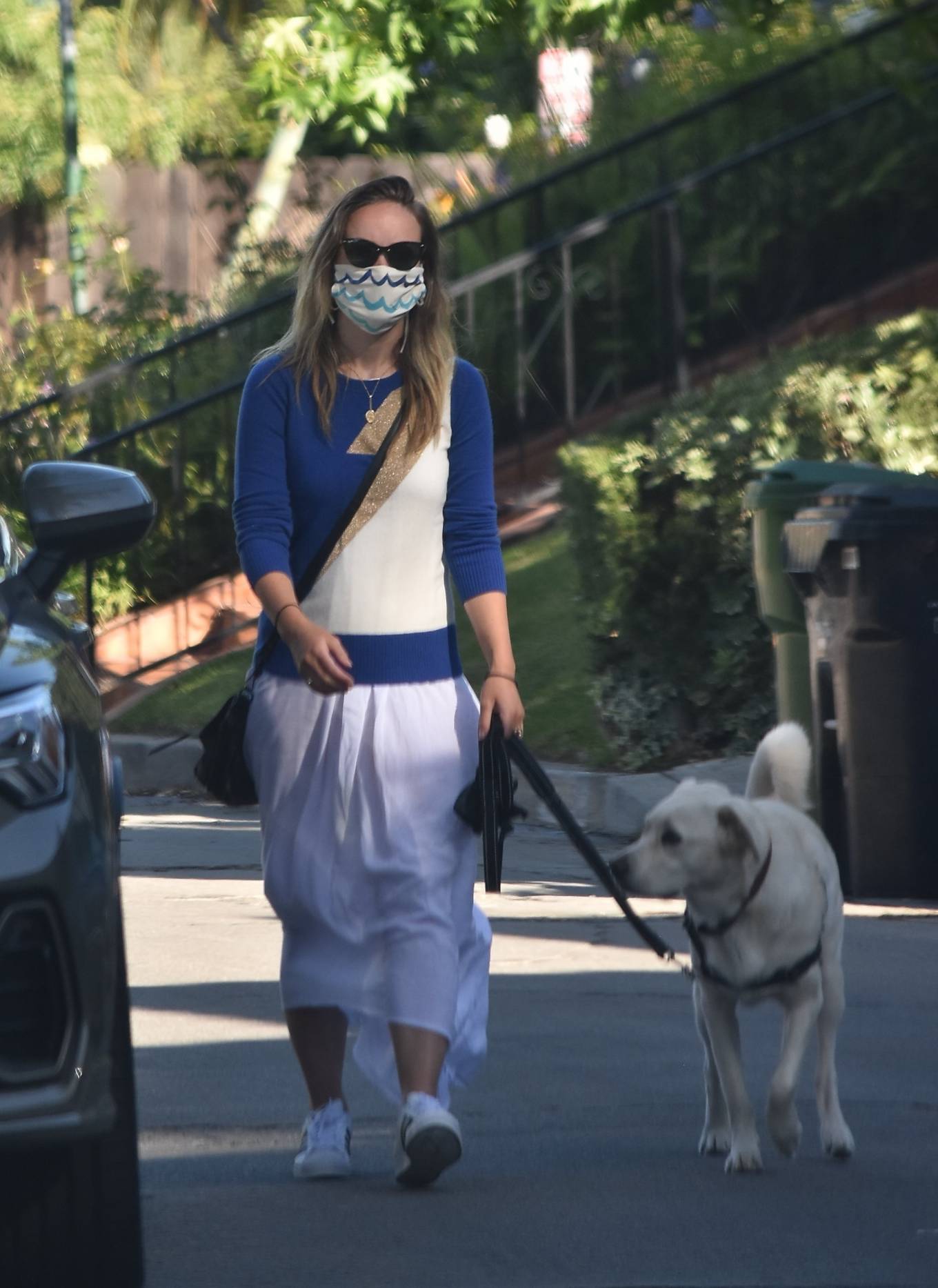 Olivia Wilde â€“ Walking her dog in Los Angeles