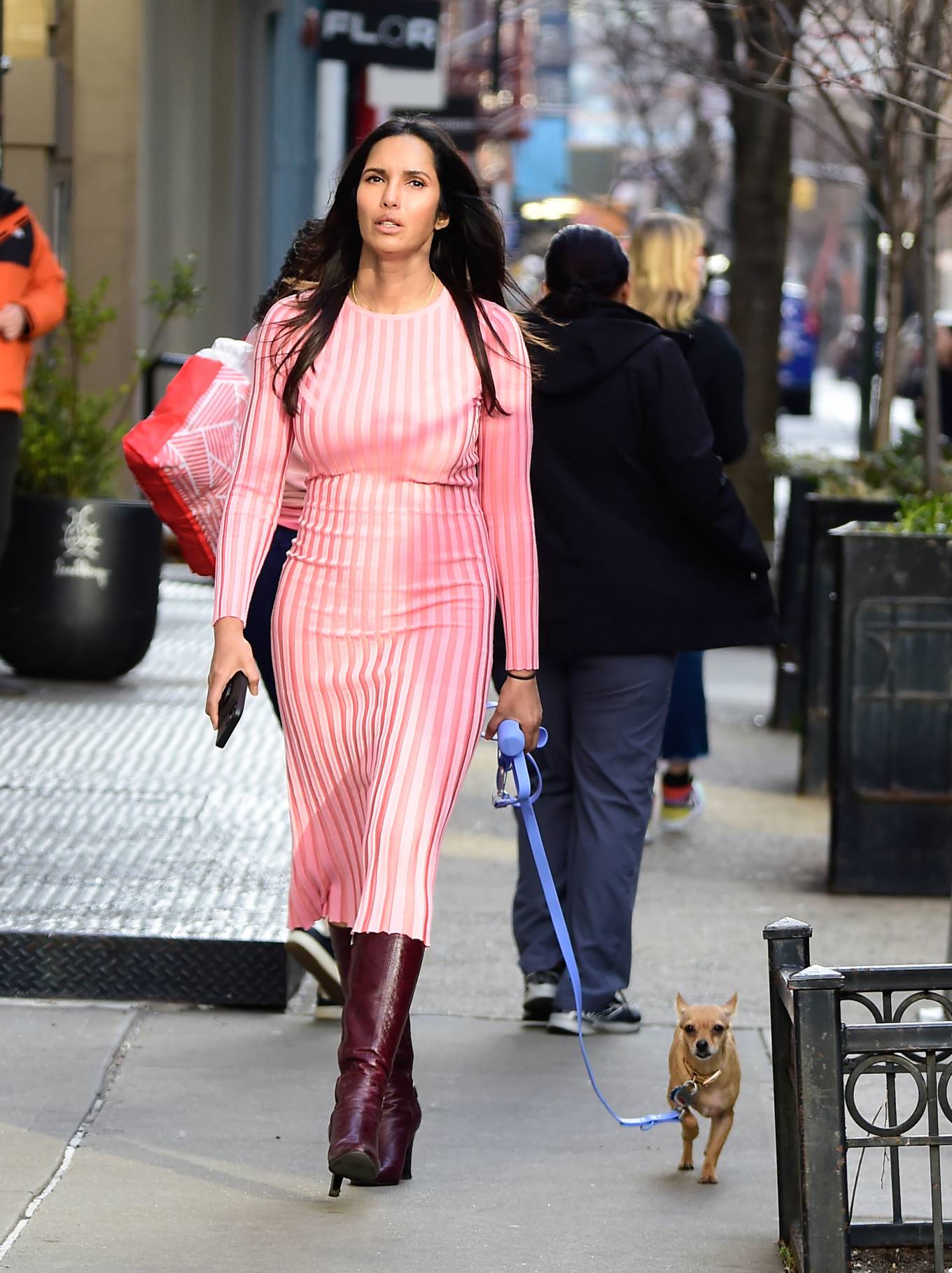 Padma Lakshmi 2023 : Padma Lakshmi – Seen while on a dog walk in New York-01