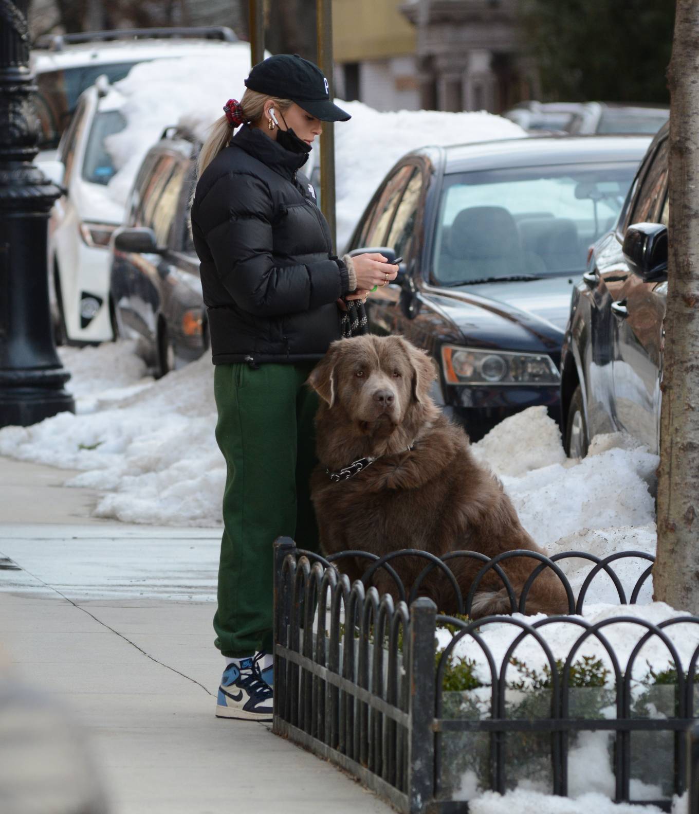 Paige Lorenze – Spotted walking her big dog in New York – GotCeleb