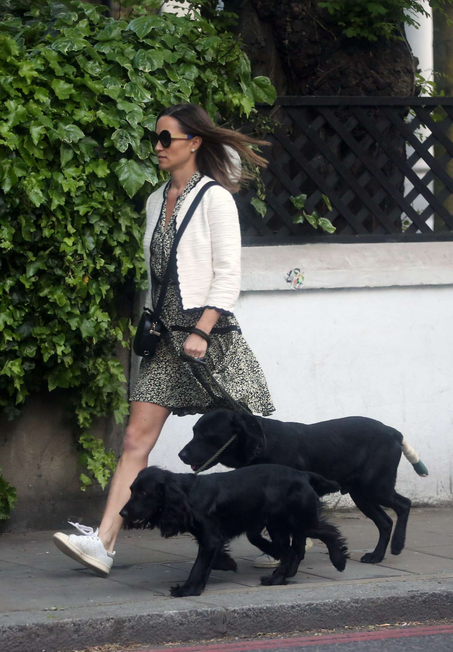 Pippa Middleton: Walking her dogs in London -02 | GotCeleb